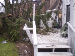 Fallen Tree on a Porch